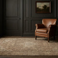 Brown Persian rug in a conservatory