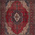 Vintage Southeastern Persian Style Oversize Rug 10x12 ft — Red & Blue Medallion