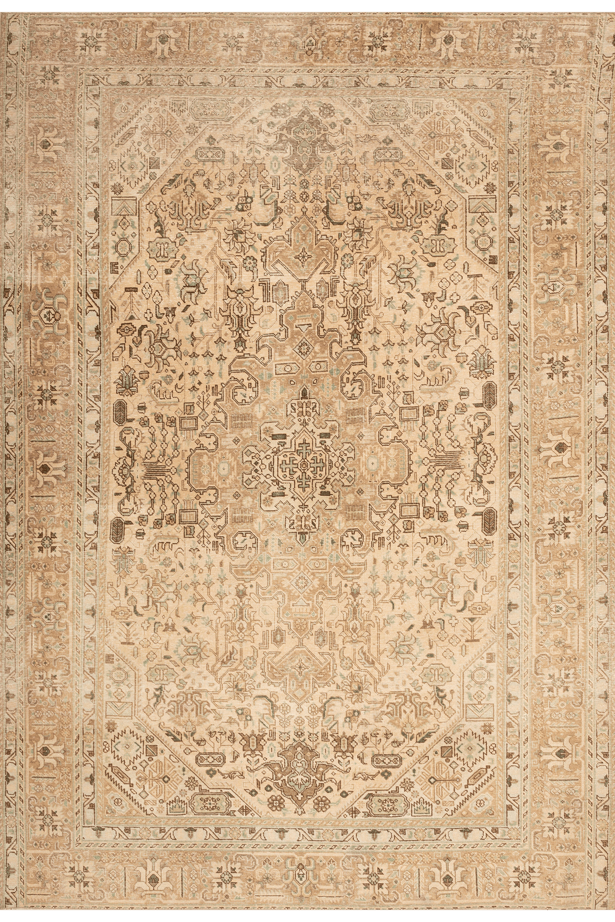 Vintage Southeastern Persian Style Area Rug 6x9 ft — Beige & Brown Medallion