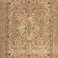 Vintage Southeastern Persian Style Area Rug 6x9 ft — Beige & Brown Medallion