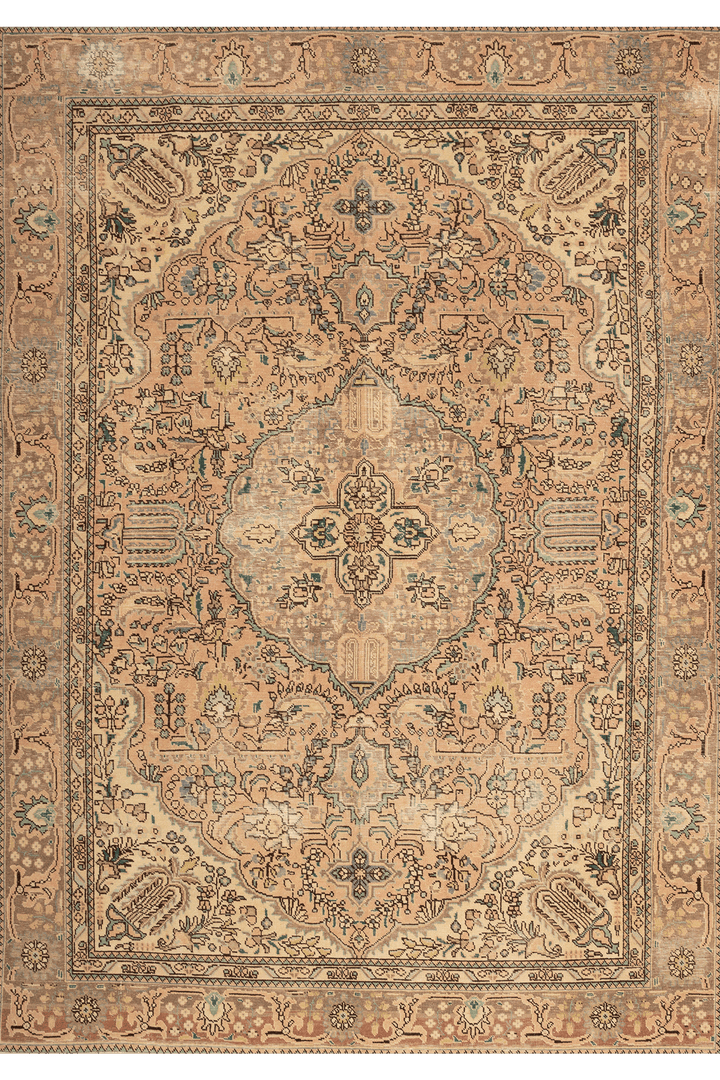 Vintage Southeastern Persian Style Area Rug 6x9 ft — Beige & Brown Medallion