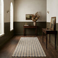 Blue Checkered Flatweave runner rug in a corridor